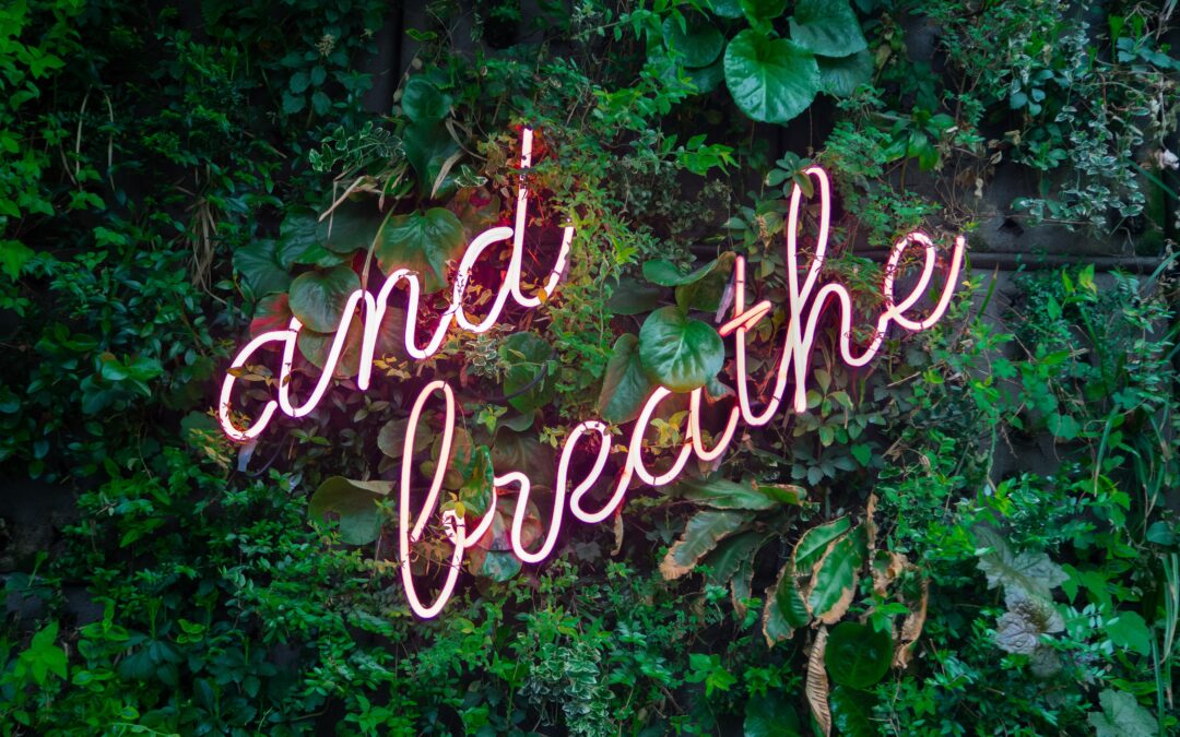Meditation For Confidence, Clarity and Calm
